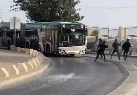‏‏לכידה