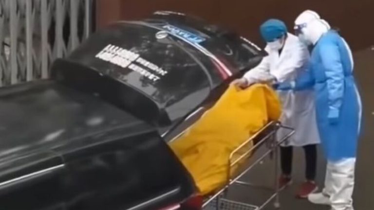 0_Alive_autoOrient_w