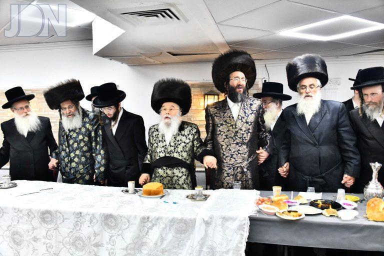 קאמרנא ספינקא מישקולץ אירוסין (25)