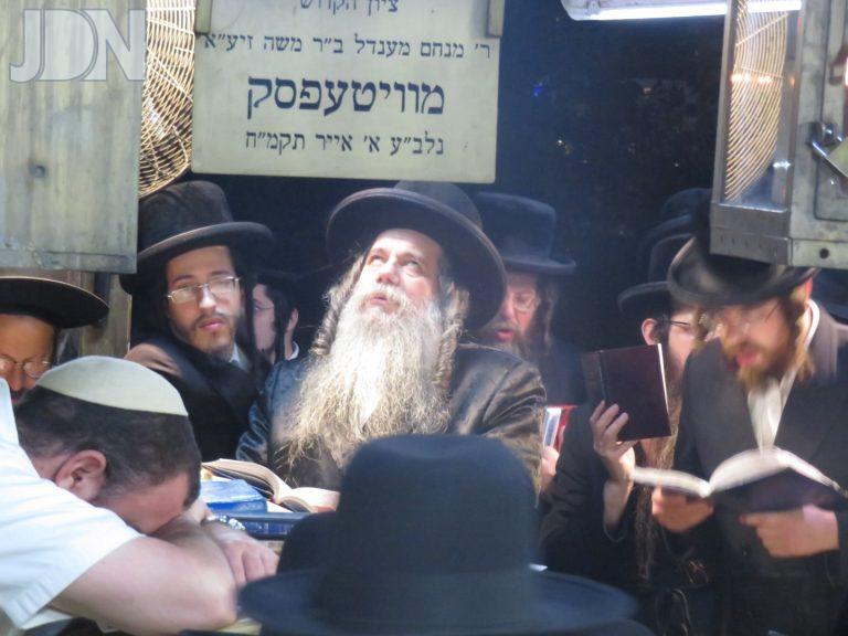 קוידינוב ויטעבסק (4)