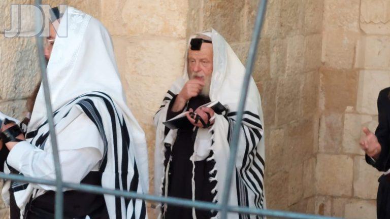 רבי אביש ציינוירט קבר שמואל הנביא (7)