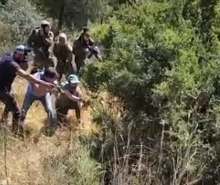 ‏‏לכידה