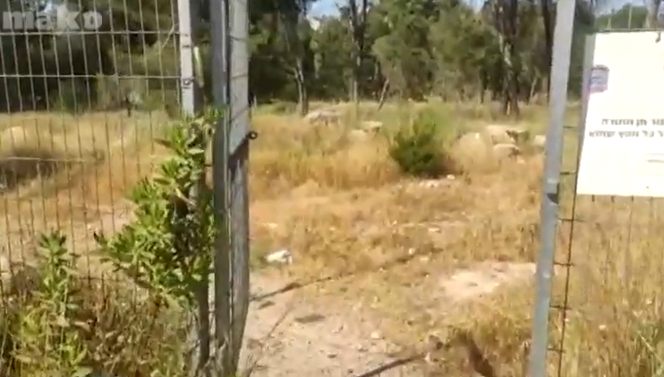 ‏‏לכידה