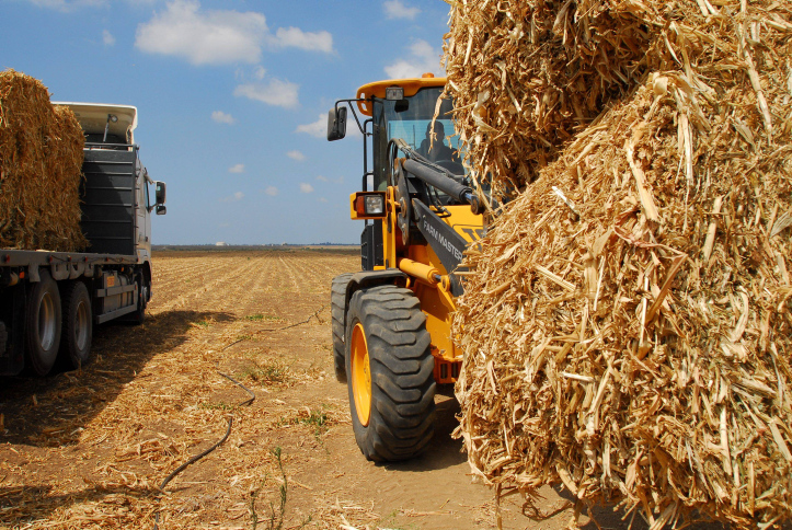 A tractor carries hay stacks in a harvested wheat field in Hefer Valley