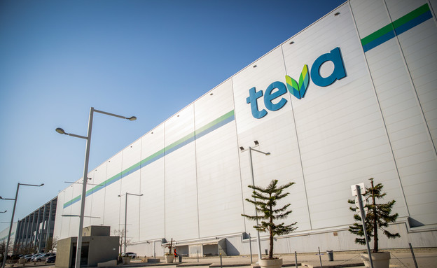 TEVA_autoOrient_i