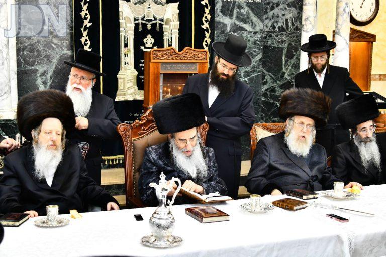 אלכסנדר קאמארנא דז'יקוב ויז'ניץ ברית (43)