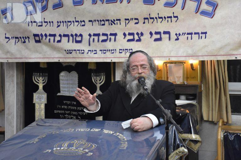 לוקווע וולברוז (6)