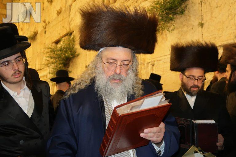 לעלוב בורו פארק הכותל (9)