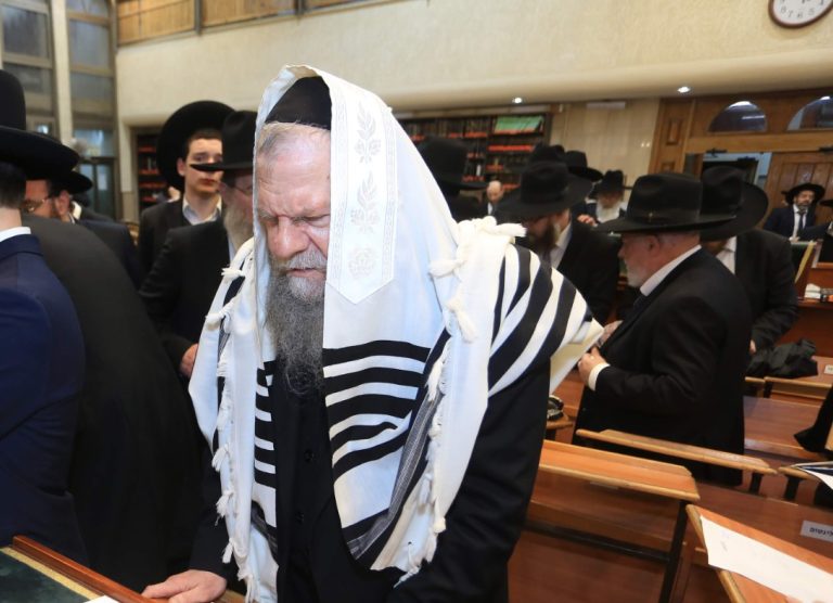 תמונה הרב אדלשטיין לאתרים