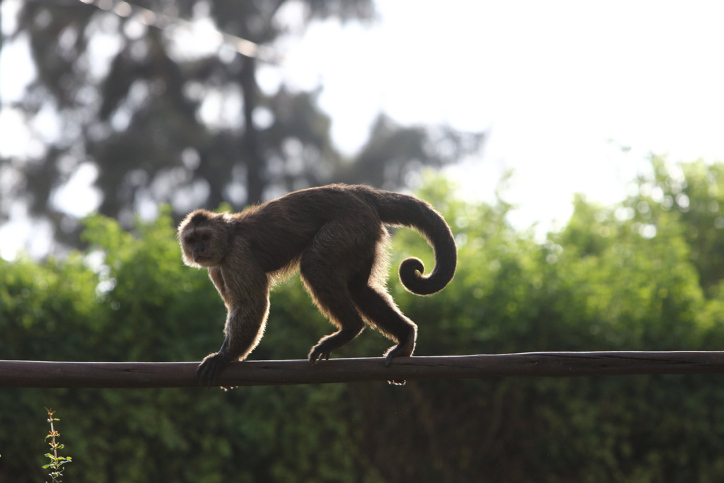 RAMAT GAN SAFARI PARK