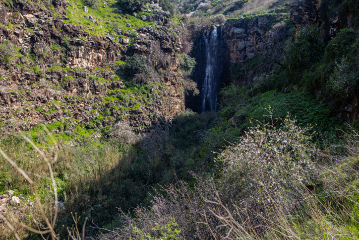 ISRAEL LANDSCAPE