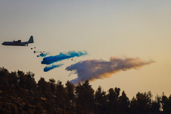 FOREST FIRE