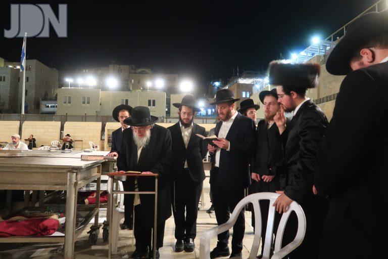 הגר''א גורביץ בכותל (16)