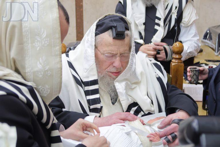 הגר''א גורביץ ברית מונקאטש ירושלים (16)