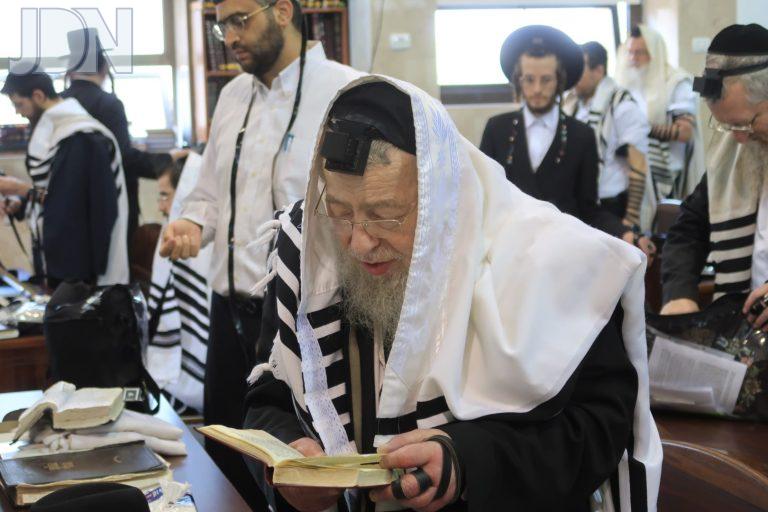הגר''א גורביץ שחרית ויז'ניץ הר נוף (9)