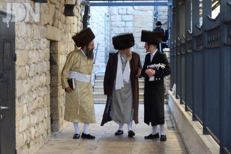 פינסק קרלין מירון (19)