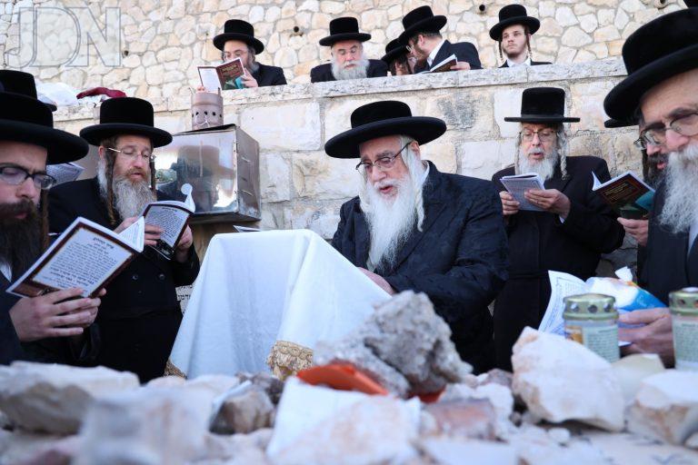 צאנז בתפילה על קבר צאנז זוועהיל (13)