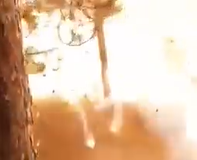 ‏‏לכידה