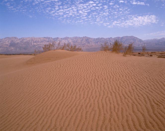 Sand ripples at Samar dunes