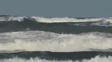 WhatsApp Video 2022-08-11 at 19.51