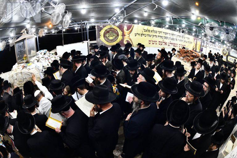 בעלזא עליה לציון בליל ההילולא (20)