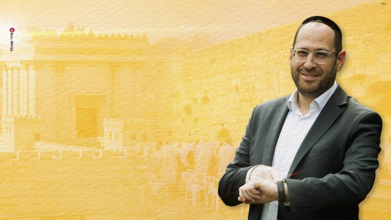 דוד זיתון - תמונת יח''צ