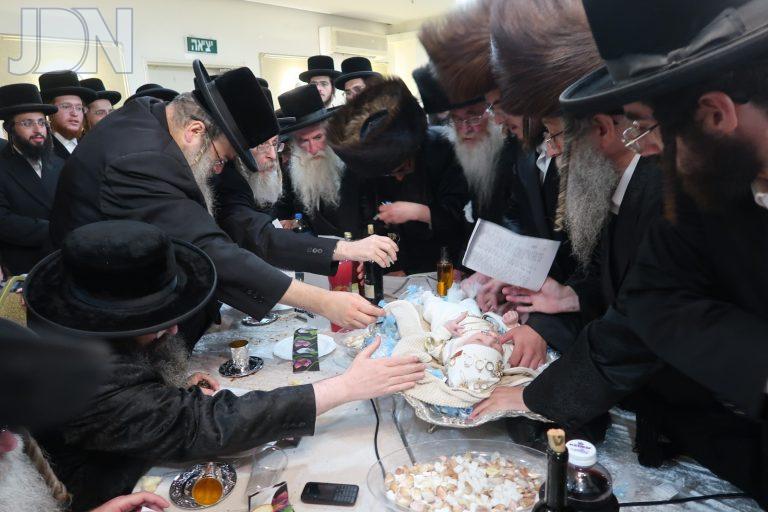 מאקאווא נתניה ערלוי צפת קאלישיץ פדיון הבן (13)