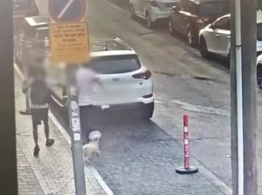 ‏‏לכידה