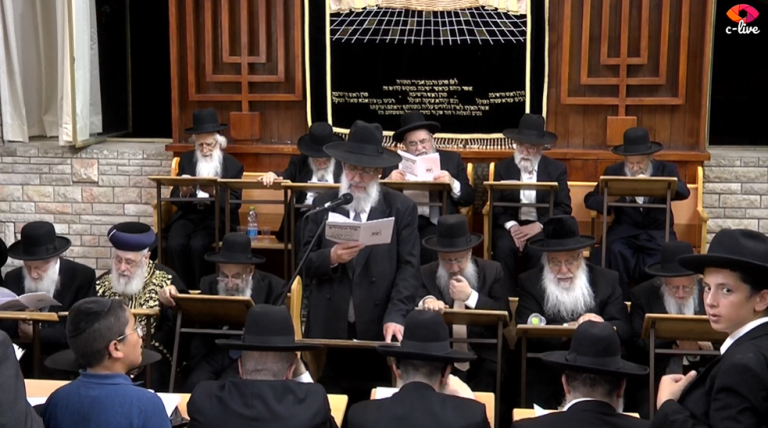 ‏‏לכידה