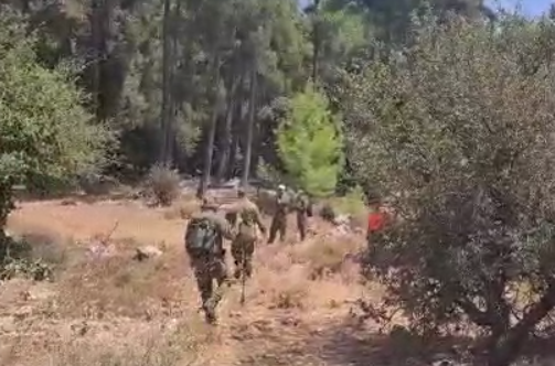 ‏‏לכידה