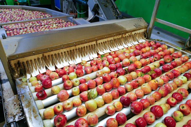 BERESHEET APPLE FACTORY