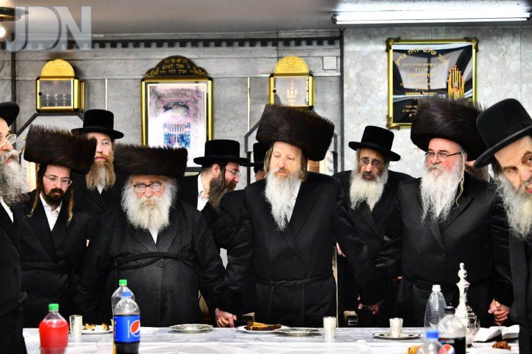 ביאלא רמא מאקאווא דז'יקוב ויז'ניץ ברית (37)