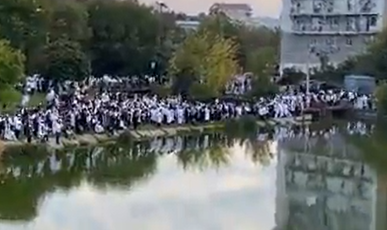 ‏‏לכידה
