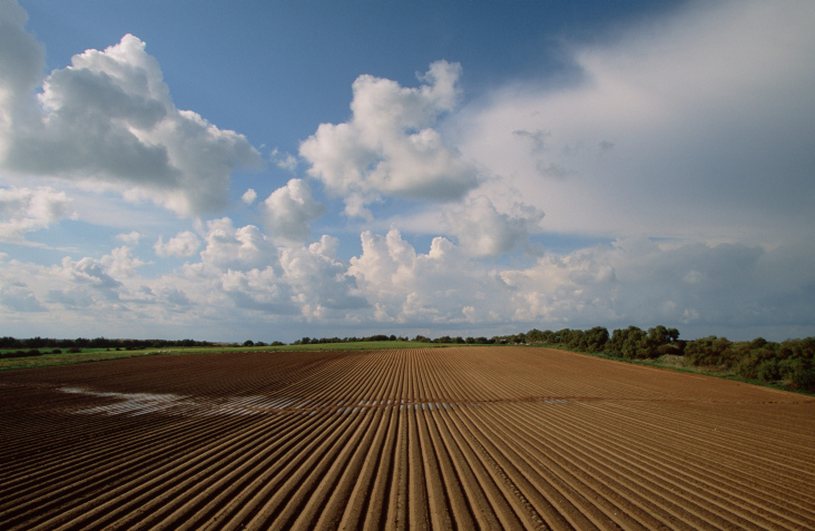 farm field in Glilot