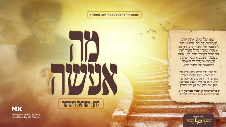 YT Thumbnail • Mah E'Eseh • Sruly Wigder feat