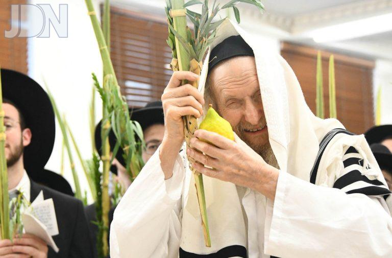 resized_HAZ_5967-אא36