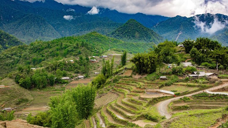 sapa-1015835_1920
