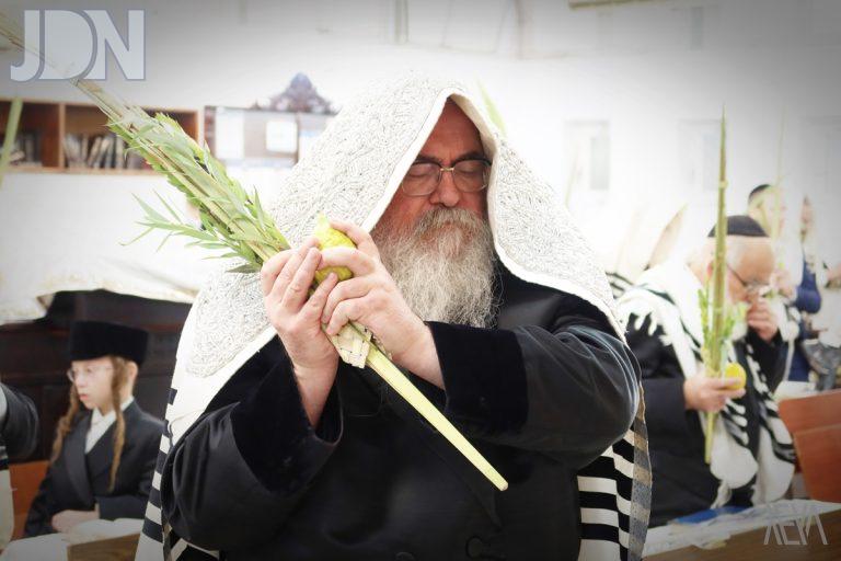 ביאלא רמת אהרן נענועים (18)