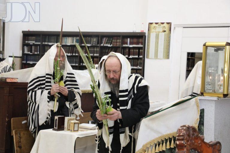 גאב''ד זוועהיל נענועים (1)