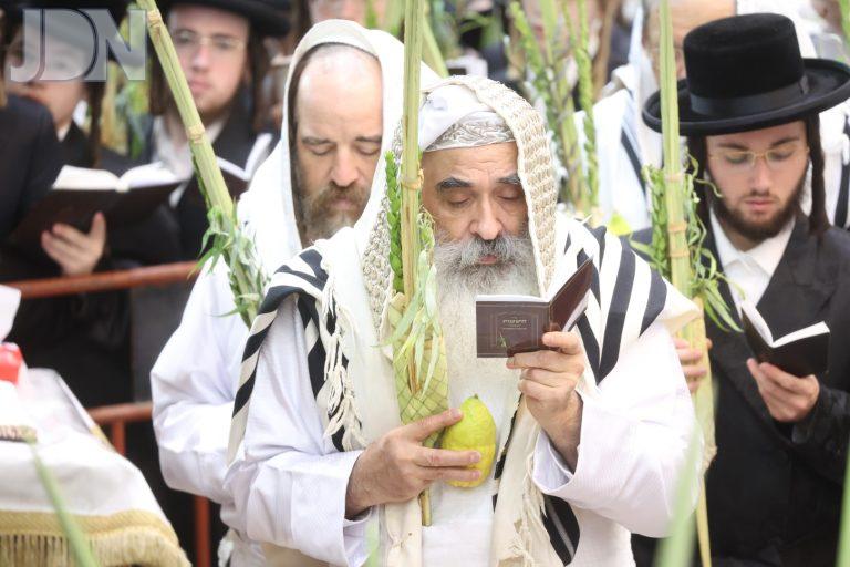 דושינסקיא נענועים הושענא רבה (6)