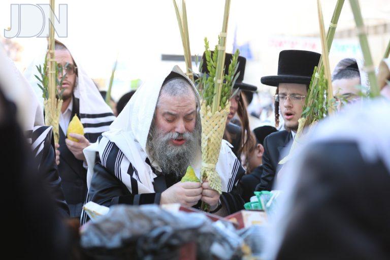 הגרא''פ מוטצען כותל סוכות פג (5)