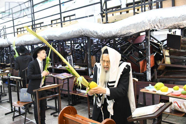 הגר''ב ויסבקר נענועים (5)