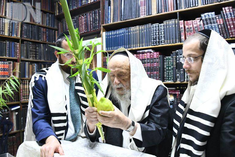 הגרב''ד פוברסקי נענועים (9)