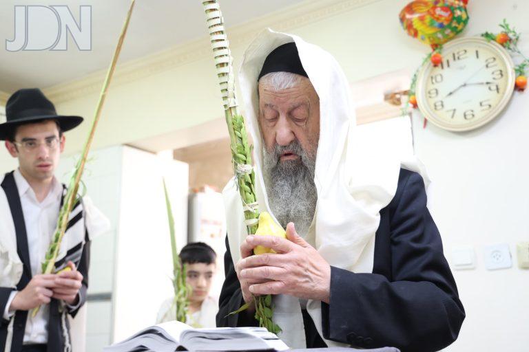 הגרב''צ מוצפי נענועים (6)