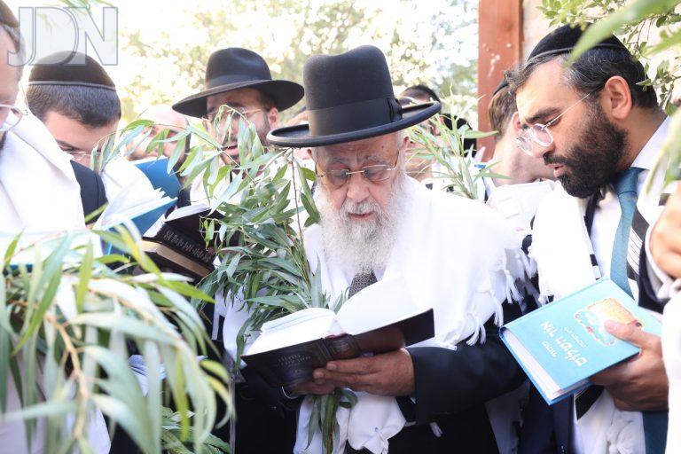 הגר''י יוסף הושענא רבה (9)