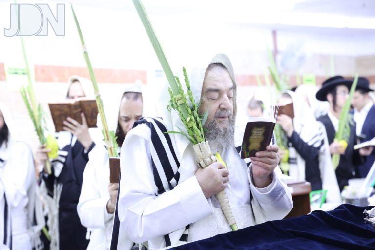 הגרי''מ שכטר נענועים הושענא רבה (6)