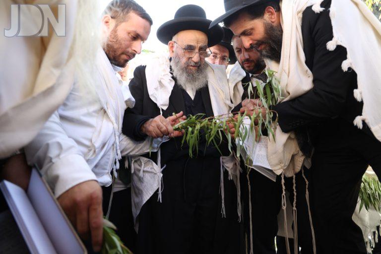 הגר''מ צדקה הושענא רבה (6)