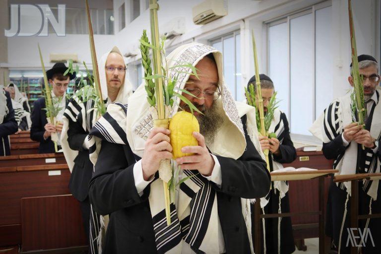 הגרמ''ב זילברברג נענועים (6)