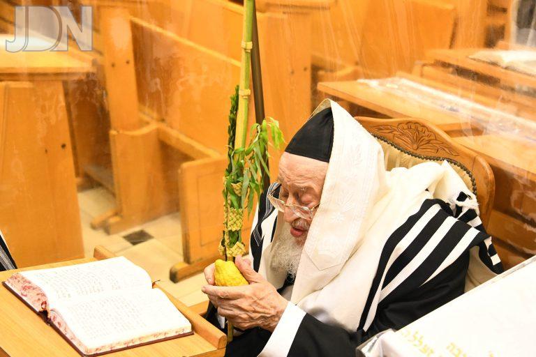 הגרמ''צ ברגמן נענועים (3)