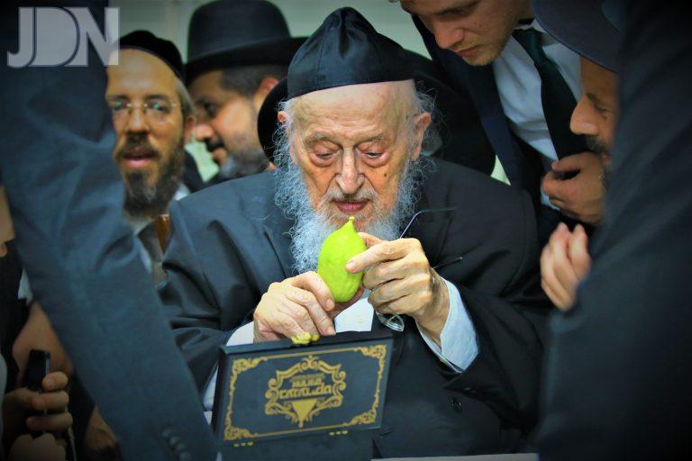 הגרמ''צ ברגמן סוכות פג (10)